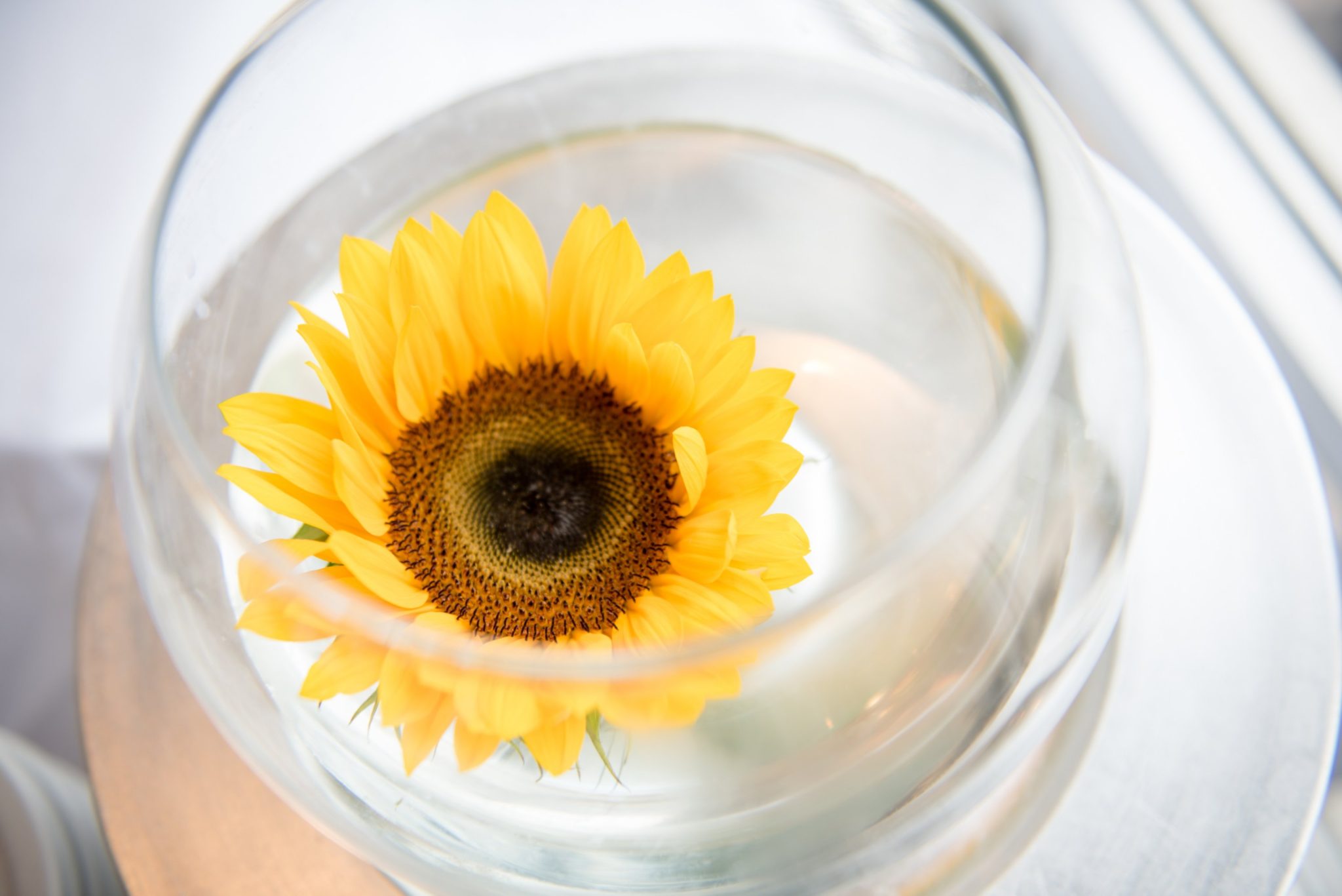 Sunflower seeds are rich in magnesium