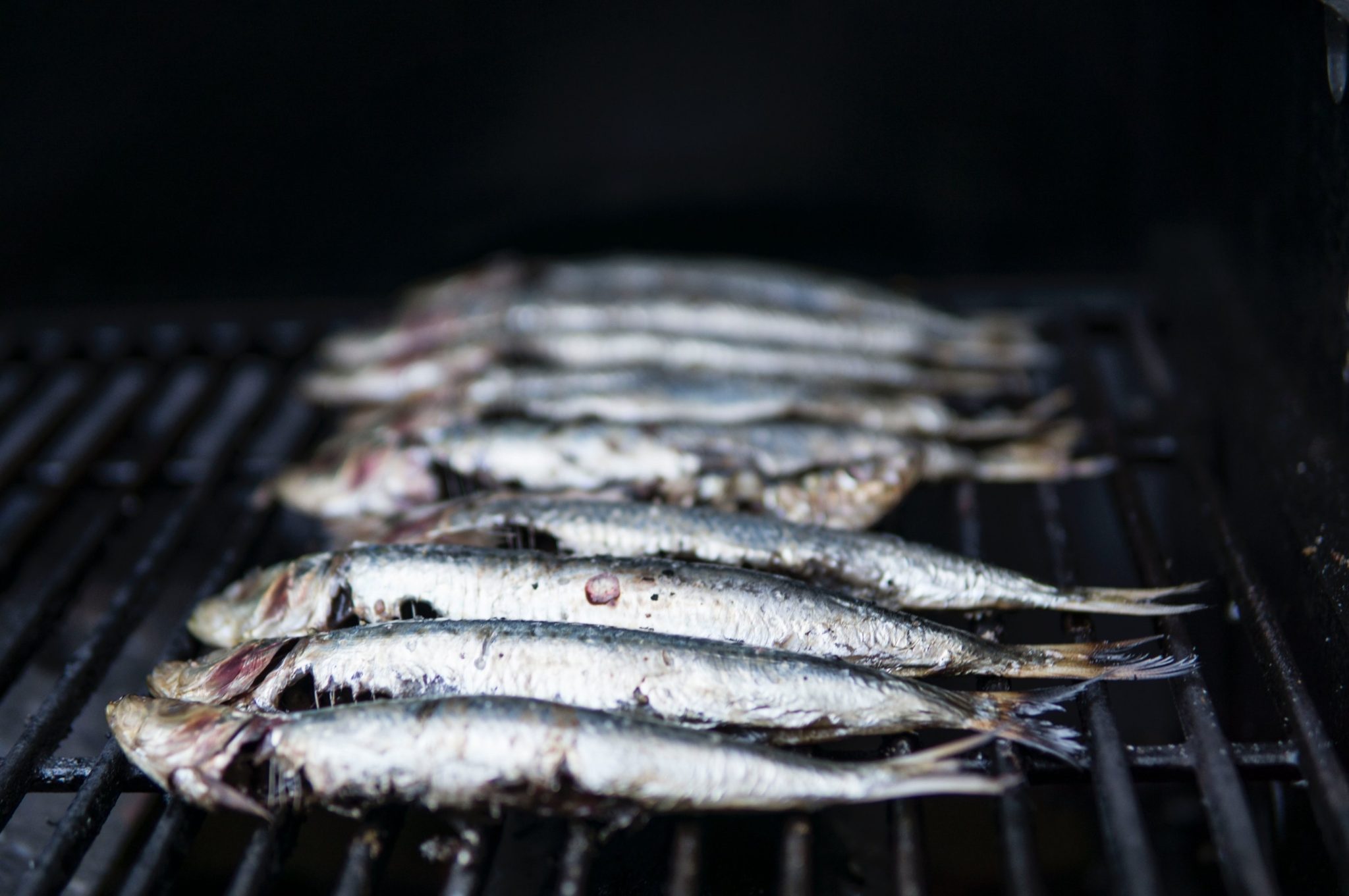 Eat healthy cholesterol rich sardines