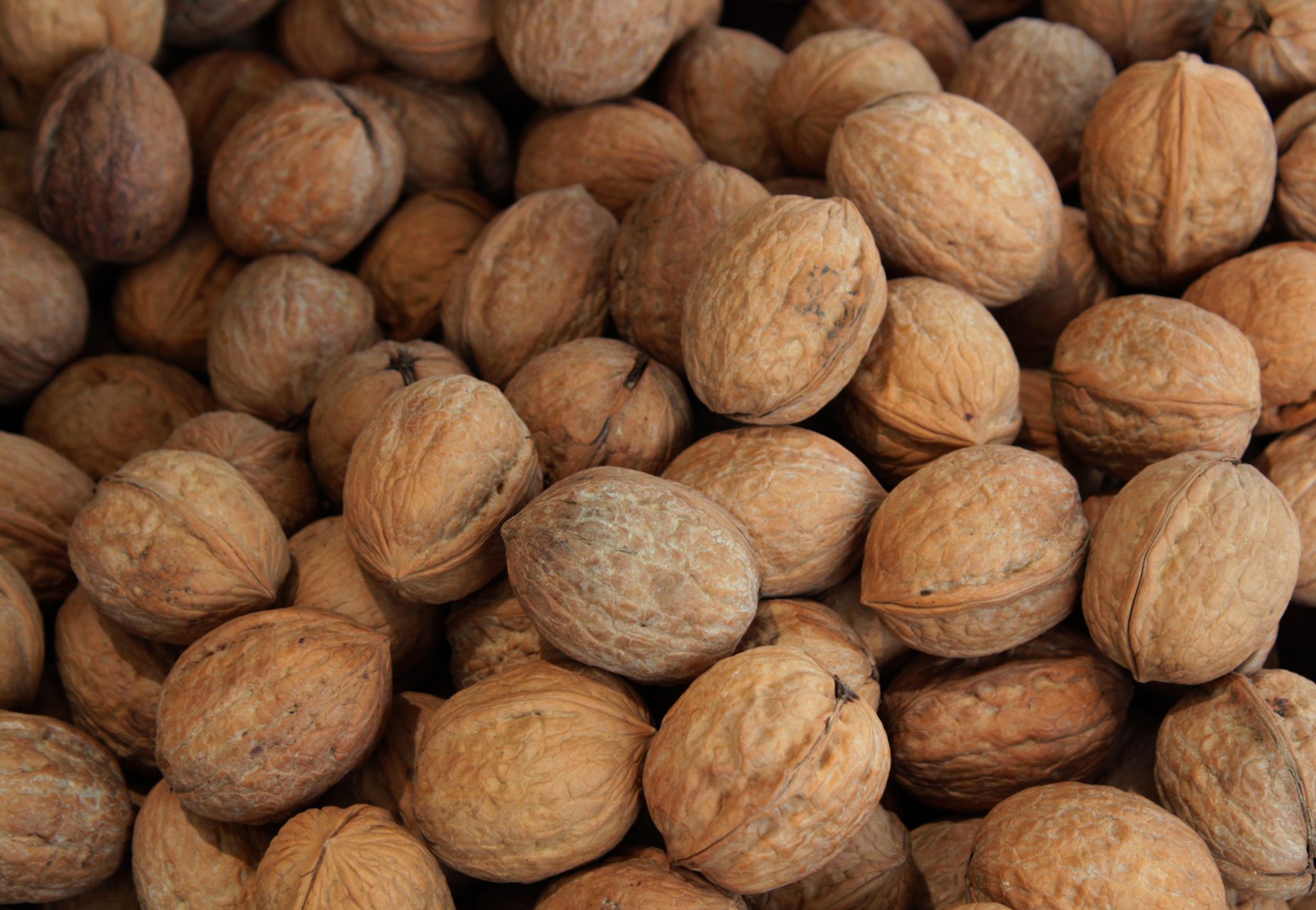 Eat magnesium rich pine nuts