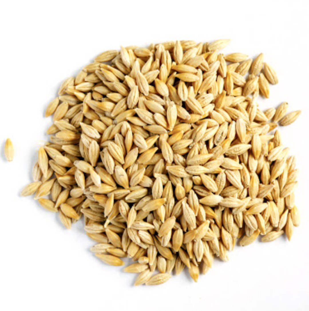 Benefits of barley include its versatility and low cost